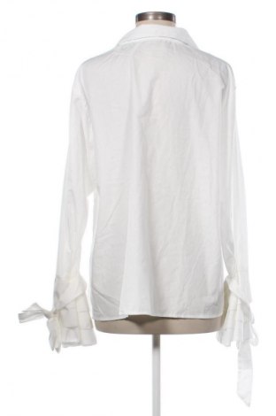 Damenbluse Vonda, Größe 4XL, Farbe Weiß, Preis € 7,99