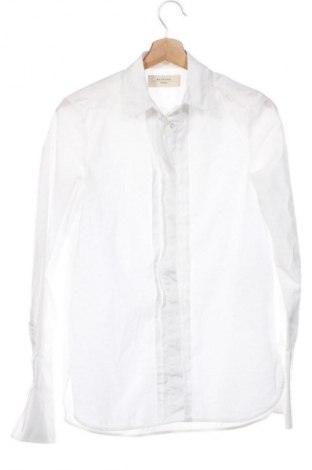 Damenbluse Weekend Max Mara, Größe XS, Farbe Weiß, Preis € 65,99