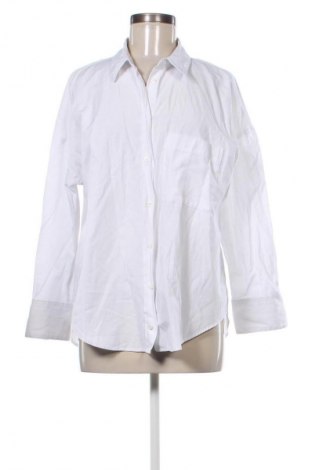 Damenbluse Zara, Größe L, Farbe Weiß, Preis € 16,99