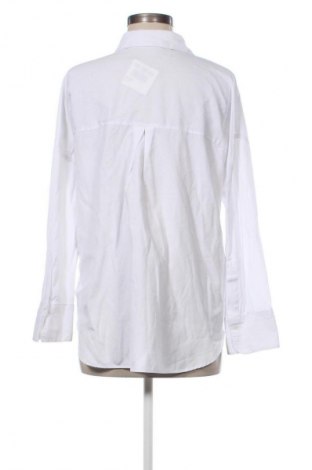 Damenbluse Zara, Größe L, Farbe Weiß, Preis € 16,99