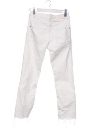 Damen Jeans Zara, Größe S, Farbe Weiß, Preis € 14,00
