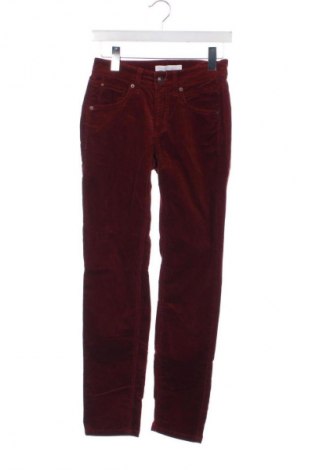 Női kordbársony nadrág Cambio, Méret S, Szín Barna, Ár 14 463 Ft