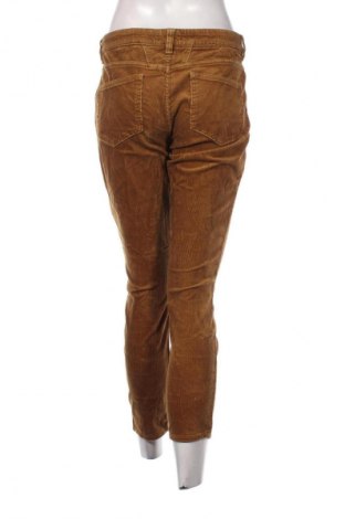 Damen Cordhose Closed, Größe XL, Farbe Braun, Preis € 21,99