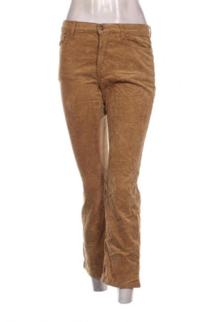 Damen Cordhose Mango, Größe S, Farbe Beige, Preis € 11,99