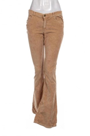 Damen Cordhose Miss Sixty, Größe M, Farbe Braun, Preis € 23,99
