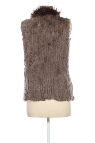 Dámska vesta  Oakwood, Veľkosť M, Farba Hnedá, Cena  27,95 €