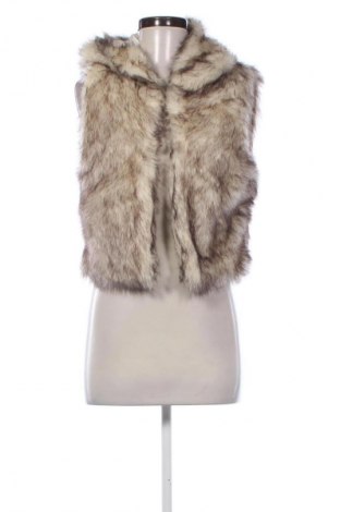 Damenweste Tally Weijl, Größe S, Farbe Mehrfarbig, Preis € 10,99