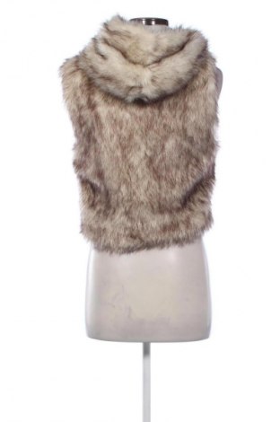 Damenweste Tally Weijl, Größe S, Farbe Mehrfarbig, Preis € 10,99