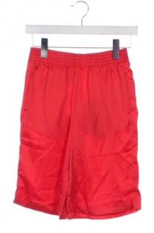 Γυναικείο κοντό παντελόνι JJXX, Μέγεθος XS, Χρώμα Πολύχρωμο, Τιμή 26,17 €