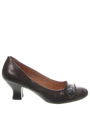 Damenschuhe Naya, Größe 40, Farbe Braun, Preis € 52,99