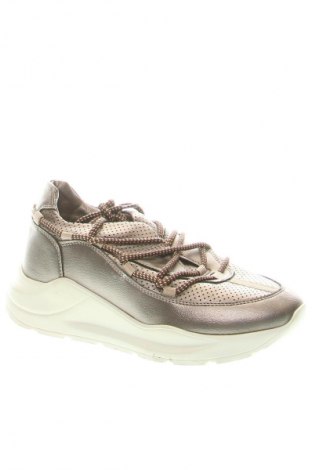 Damenschuhe U.S. Polo Assn., Größe 39, Farbe Braun, Preis € 68,63