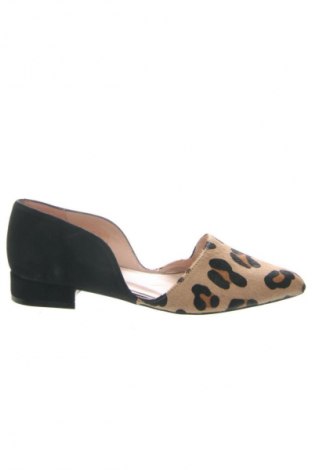 Dámské boty  Zign, Velikost 38, Barva Vícebarevné, Cena  769,00 Kč