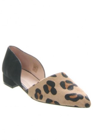 Dámské boty  Zign, Velikost 38, Barva Vícebarevné, Cena  769,00 Kč