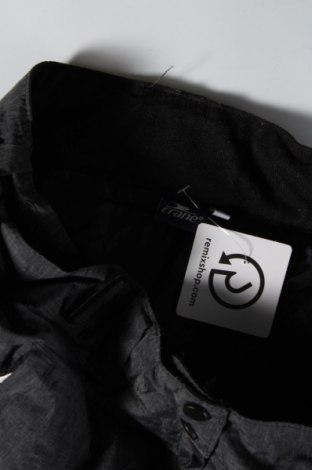 Damenhose für Wintersport Crane, Größe XL, Farbe Grau, Preis € 21,99