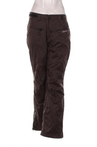 Damenhose für Wintersport Rodeo, Größe M, Farbe Braun, Preis 22,99 €