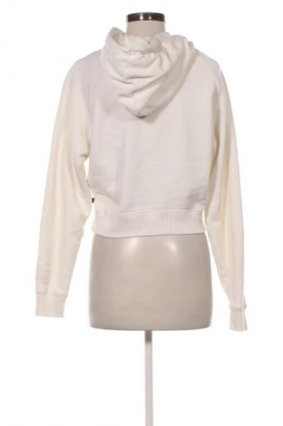 Damen Sweatshirt Converse, Größe S, Farbe Beige, Preis € 24,55