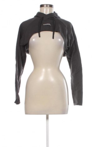 Damen Sweatshirt ICIW, Größe S, Farbe Grau, Preis 16,99 €