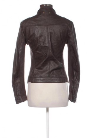 Damen Lederjacke Mango, Größe L, Farbe Braun, Preis € 56,99