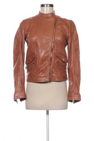 Damen Lederjacke Massimo Dutti, Größe S, Farbe Braun, Preis 95,13 €