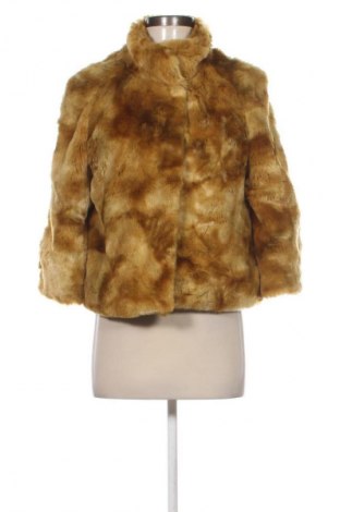 Női kabát EDAS, Méret L, Szín Sokszínű, Ár 40 799 Ft