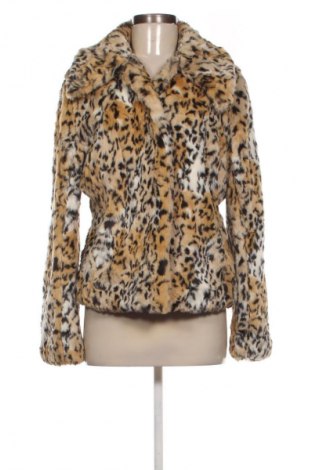 Dámský kabát  Esisto, Velikost XL, Barva Vícebarevné, Cena  759,00 Kč