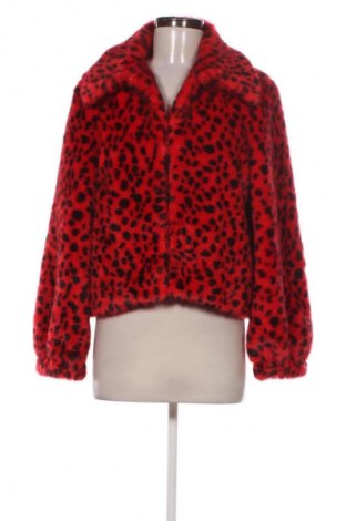 Γυναικείο παλτό Gaudi, Μέγεθος L, Χρώμα Πολύχρωμο, Τιμή 190,75 €