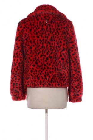 Γυναικείο παλτό Gaudi, Μέγεθος L, Χρώμα Πολύχρωμο, Τιμή 190,75 €