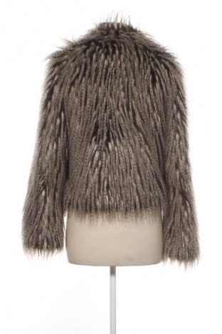 Damenmantel Topshop, Größe XS, Farbe Mehrfarbig, Preis € 63,44