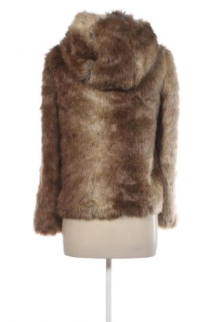 Női kabát Zara, Méret S, Szín Sokszínű, Ár 18 119 Ft