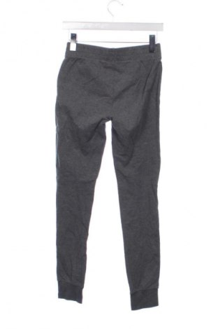 Dámske tepláky Everlast, Veľkosť XS, Farba Sivá, Cena  10,95 €