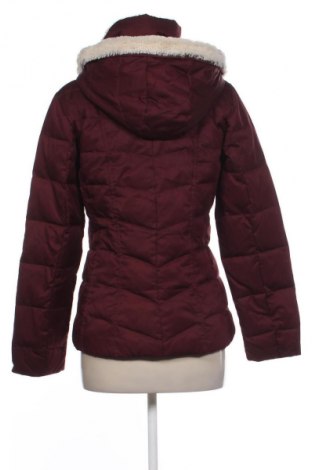 Damenjacke Charles Vogele, Größe S, Farbe Braun, Preis € 30,00