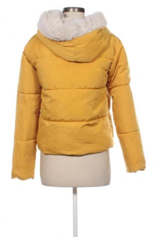 Damenjacke Clockhouse, Größe S, Farbe Orange, Preis 30,00 €