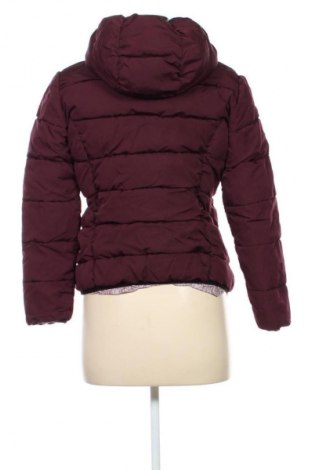 Damenjacke Fb Sister, Größe S, Farbe Rot, Preis 34,99 €