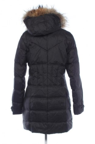 Damenjacke Gaastra, Größe M, Farbe Schwarz, Preis € 59,00