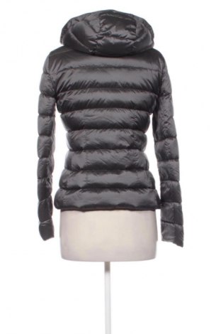 Damenjacke Massimo Dutti, Größe M, Farbe Grau, Preis € 46,00