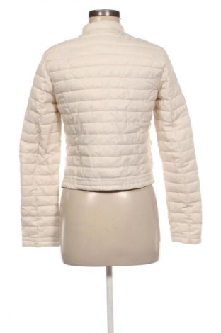 Γυναικείο μπουφάν Motivi, Μέγεθος M, Χρώμα  Μπέζ, Τιμή 25,99 €