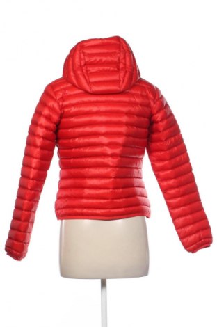 Damenjacke Peak Performance, Größe S, Farbe Rot, Preis € 91,02