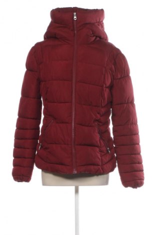 Damenjacke Terranova, Größe L, Farbe Rot, Preis € 27,99