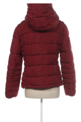 Damenjacke Terranova, Größe L, Farbe Rot, Preis € 27,99