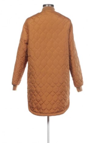 Damenjacke Zeeman, Größe S, Farbe Orange, Preis € 12,99
