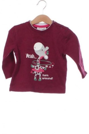 Παιδική μπλούζα Ergee, Μέγεθος 12-18m/ 80-86 εκ., Χρώμα Πολύχρωμο, Τιμή 4,99 €