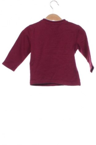 Παιδική μπλούζα Ergee, Μέγεθος 12-18m/ 80-86 εκ., Χρώμα Πολύχρωμο, Τιμή 4,99 €