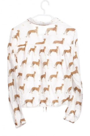 Kinder Shirt H&M, Größe 14-15y/ 168-170 cm, Farbe Mehrfarbig, Preis € 3,99