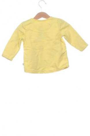 Kinder Shirt Liegelind, Größe 6-9m/ 68-74 cm, Farbe Mehrfarbig, Preis € 4,99