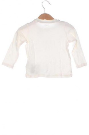 Kinder Shirt Lupilu, Größe 9-12m/ 74-80 cm, Farbe Weiß, Preis € 5,99