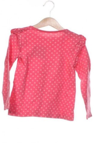 Kinder Shirt Lupilu, Größe 2-3y/ 98-104 cm, Farbe Mehrfarbig, Preis € 5,99
