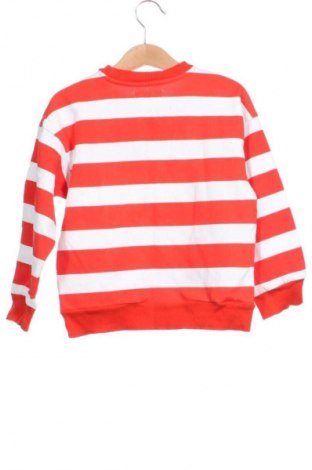 Kinder Shirt Sinsay, Größe 4-5y/ 110-116 cm, Farbe Mehrfarbig, Preis € 4,02