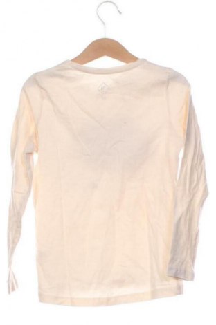 Dziecięca bluzka Tex, Rozmiar 5-6y/ 116-122 cm, Kolor Beżowy, Cena 25,99 zł