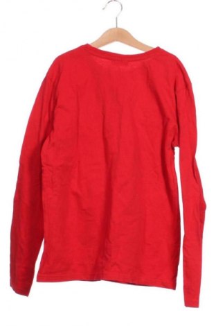 Kinder Shirt True Destinations, Größe 12-13y/ 158-164 cm, Farbe Mehrfarbig, Preis € 11,99