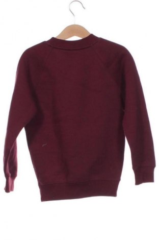 Παιδική μπλούζα Unbranded, Μέγεθος 5-6y/ 116-122 εκ., Χρώμα Κόκκινο, Τιμή 7,99 €